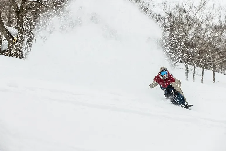 雪上活動