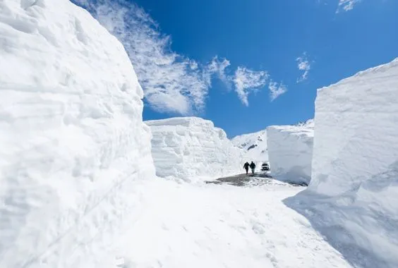 【北陸】黑部立山 ✕ 紫藤雪牆｜名古東京縱貫 6 日