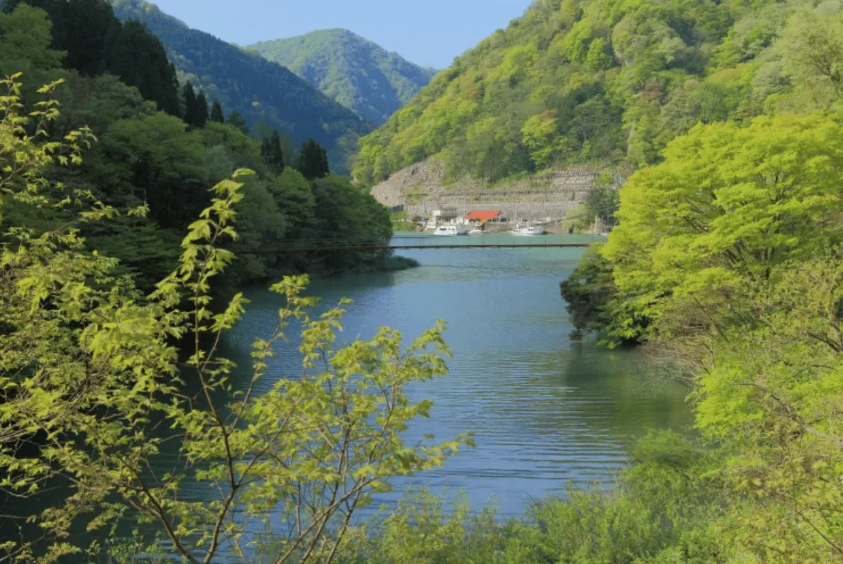 【鳥取・3 日】砂丘奇蹟 ✕ 海之京都｜深度美學