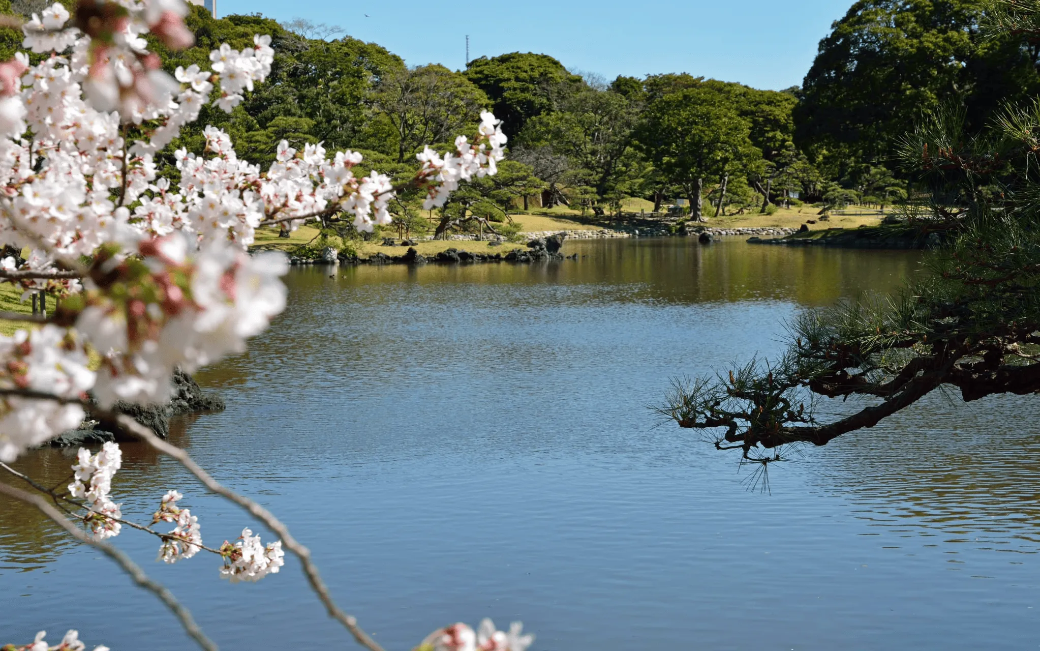 四萬十川沈下橋