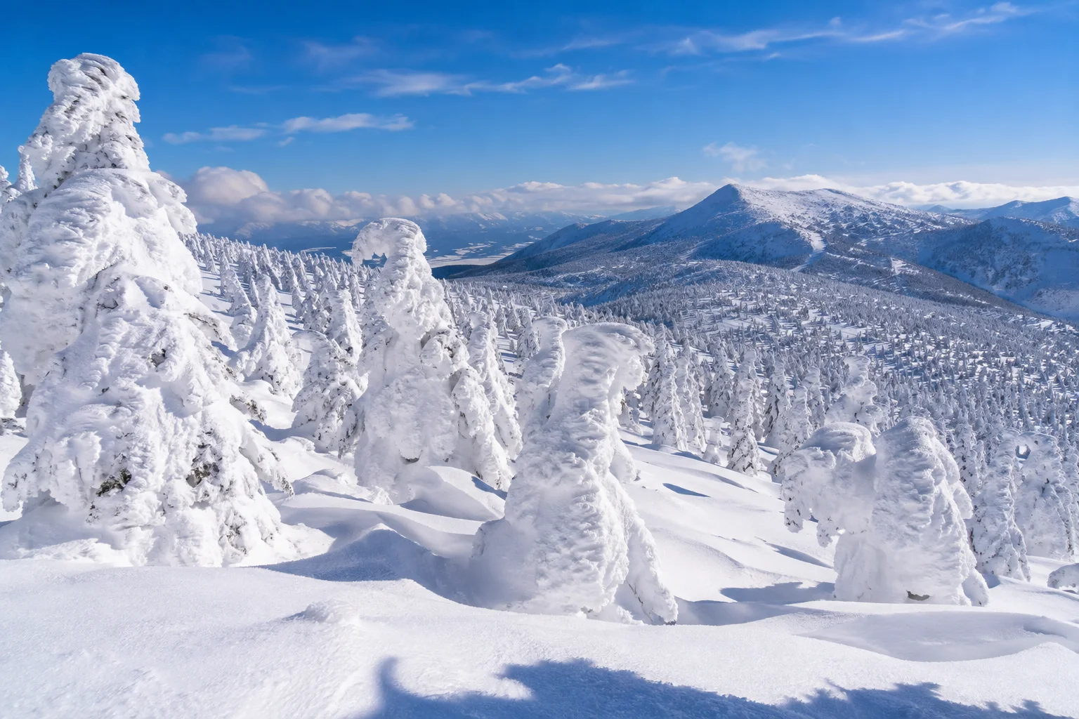 青森八甲田山的樹冰雪怪