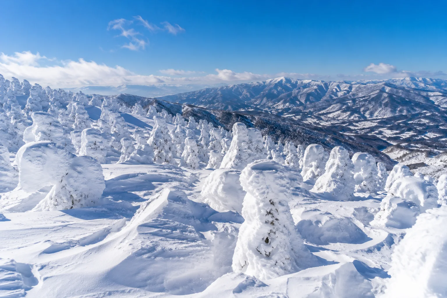 山形藏王山的冬季樹冰雪怪