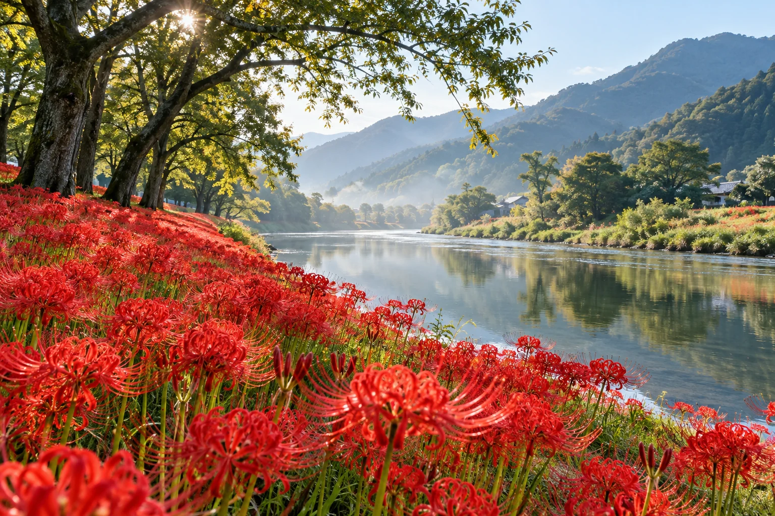 林間彼岸花紅色花海